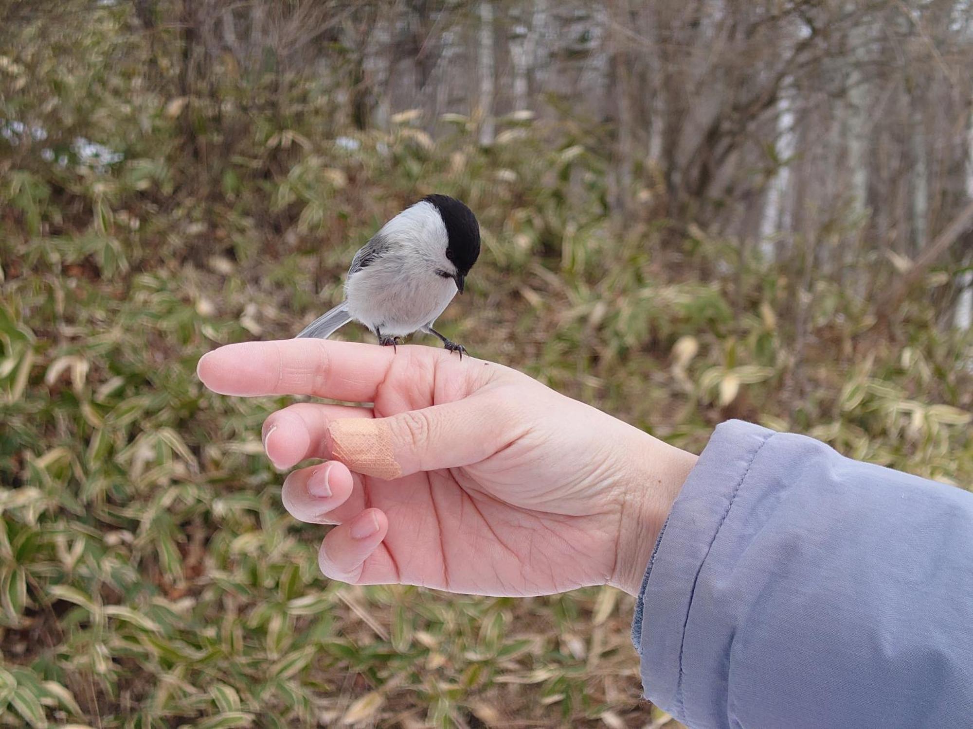 鶴居村 つくしヴィレッジヴィラ エクステリア 写真