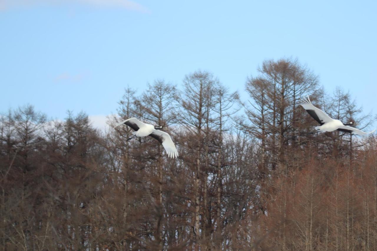 鶴居村 つくしヴィレッジヴィラ エクステリア 写真